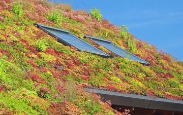Alltmawr living roof systems